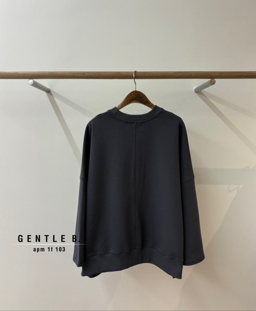 GENTLE B直郵韓國代購女裝新品熱賣推薦真品24秋冬職業衛衣GENTLE B衛衣圖色2