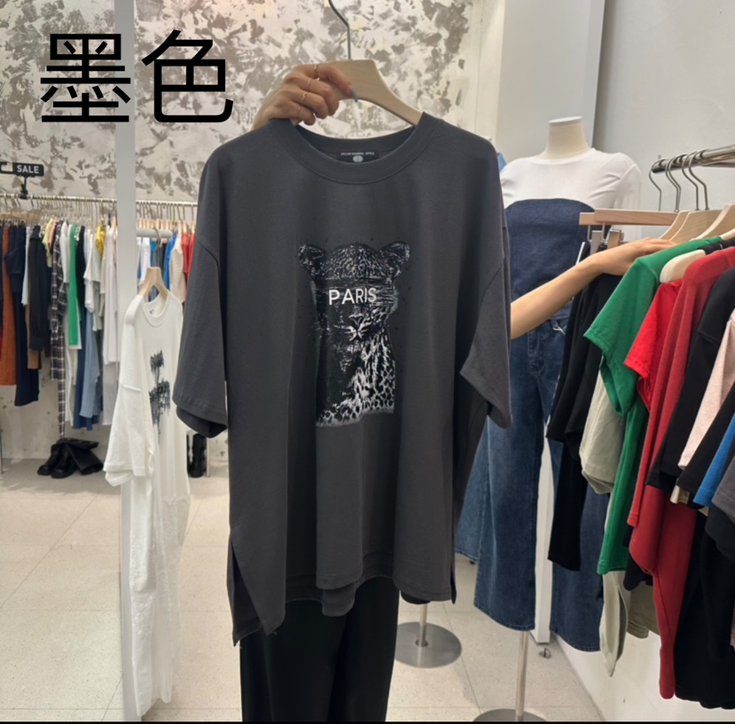 NYLON韓國直郵東大門代購女裝新品真品熱賣職業24秋冬T恤NYLONT恤圖色3