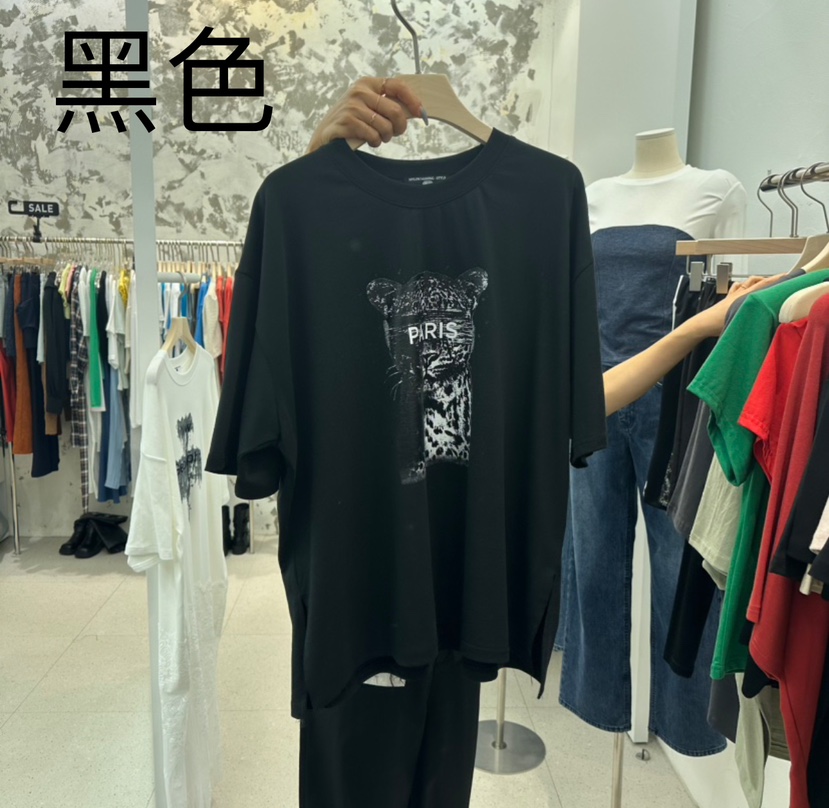 NYLON韓國直郵東大門代購女裝新品真品熱賣職業24秋冬T恤NYLONT恤圖色4