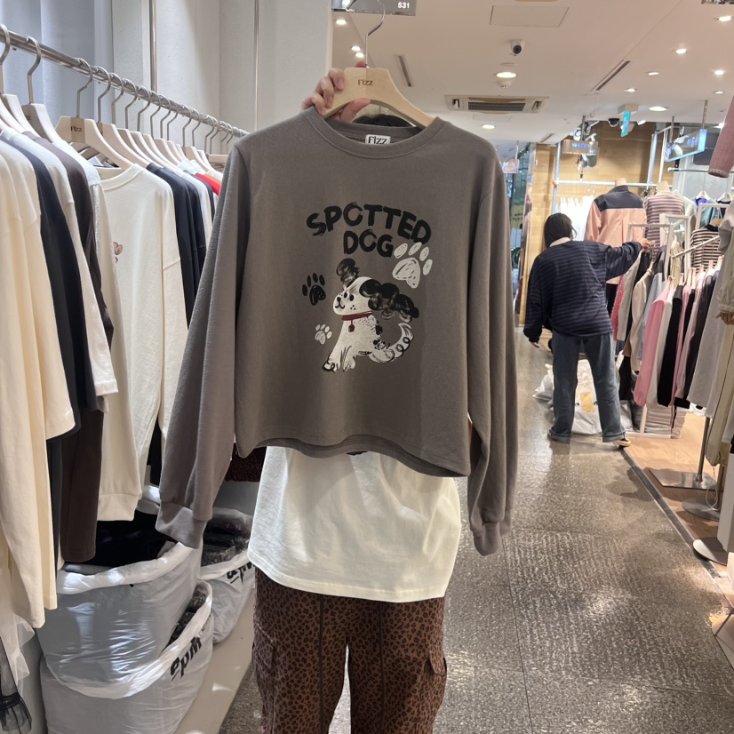 FIZZ韓國直郵女裝新品熱賣真品24秋冬休閑職業時尚長袖T恤FIZZ長袖T恤圖色2