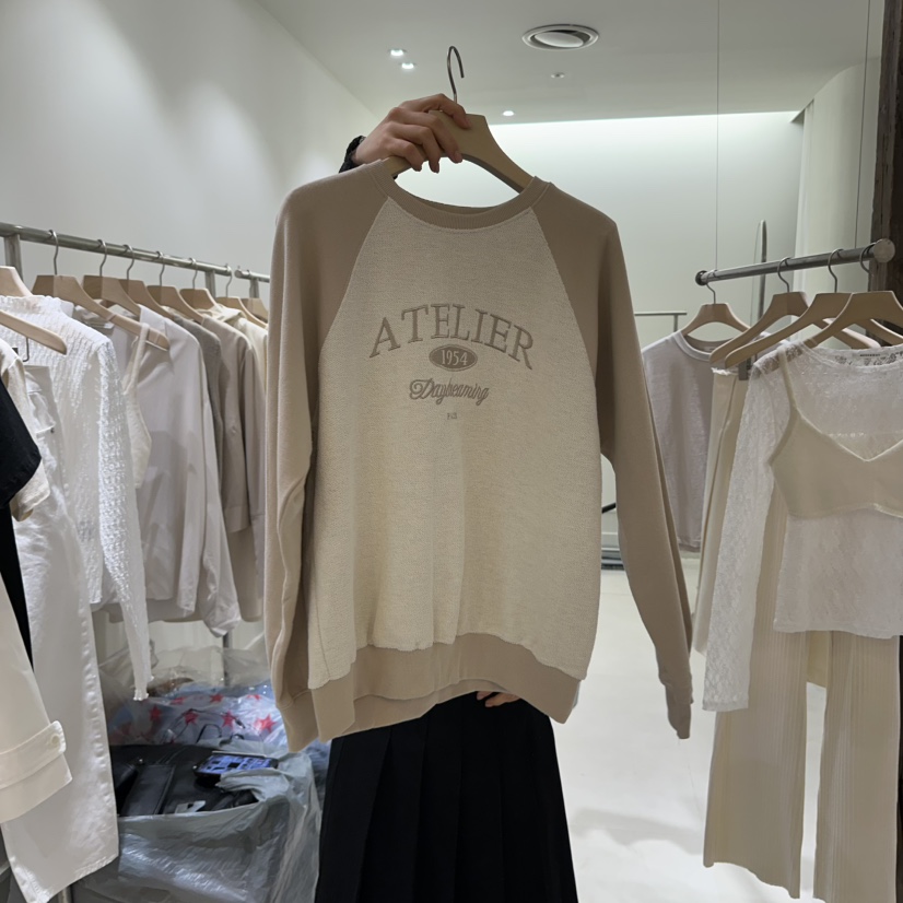 AVECNOUS東大門直郵女士新品時尚真品休閑推薦熱賣衛衣刺繡AVECNOUS衛衣圖色1
