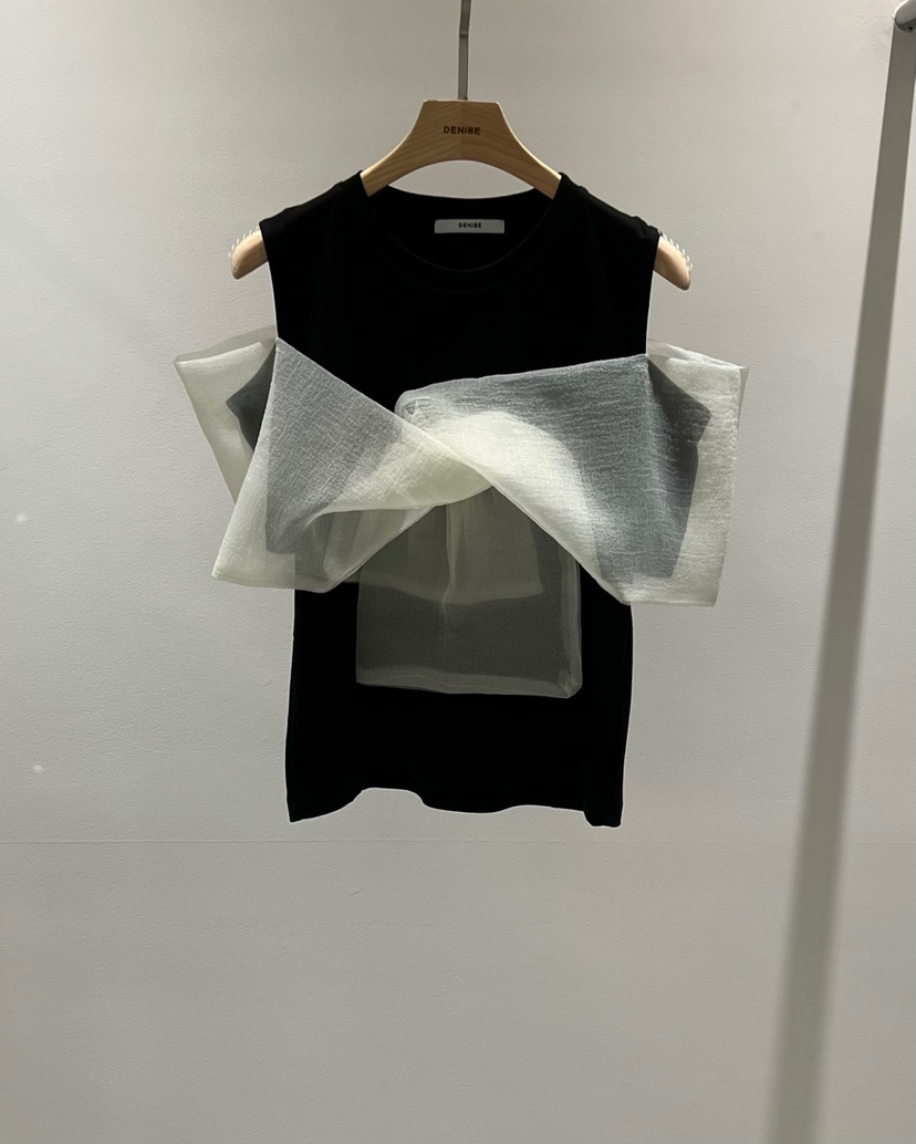DENISE韓國直郵㊣女裝新款時尚休閑25春夏熱賣推薦人氣T恤DENISET恤圖色4