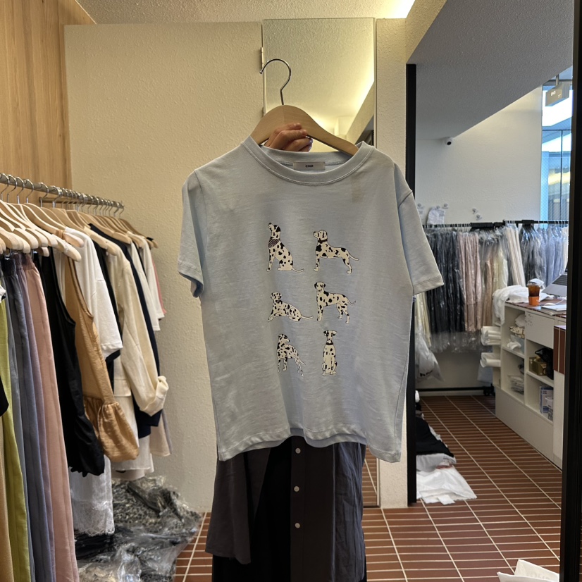 CHOI-L韓國直郵㊣女裝新品25春夏休閑時尚人氣推薦熱賣T恤CHOIT恤圖色3