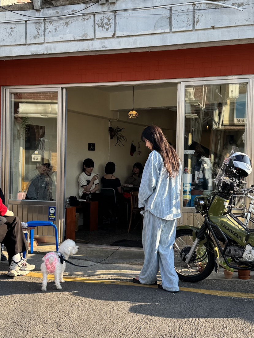 SUNDER MARKET東大門代購女士新品真品時尚休閑襯衫蕾絲衫SUNDER MARKET襯衫/蕾絲衫
