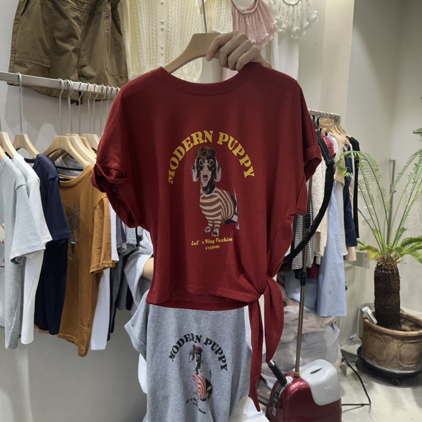 HIPTIQUE直郵韓國代購㊣女裝新品25春夏熱賣時尚人氣休閑T恤HIPTIQUET恤圖色3