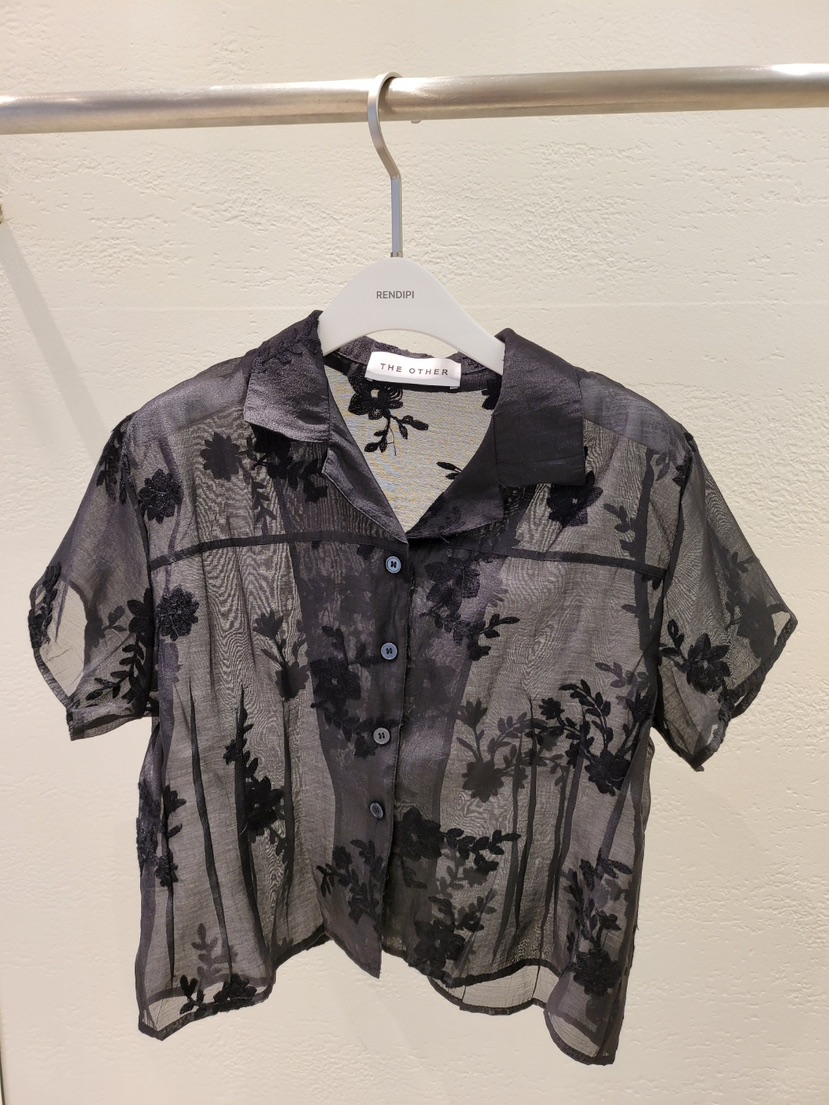 THE OTHER東大門直郵女裝新款時尚真品襯衫蕾絲衫刺繡透明THE OTHER襯衫/蕾絲衫圖色2